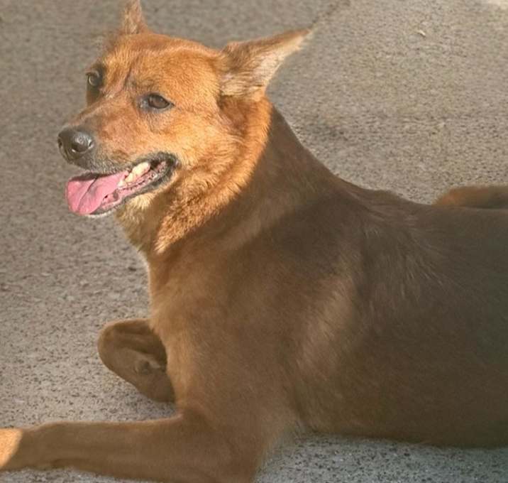 Photo of Red Mama 23D-0343