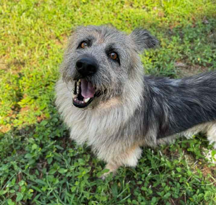 Photo of Falkor