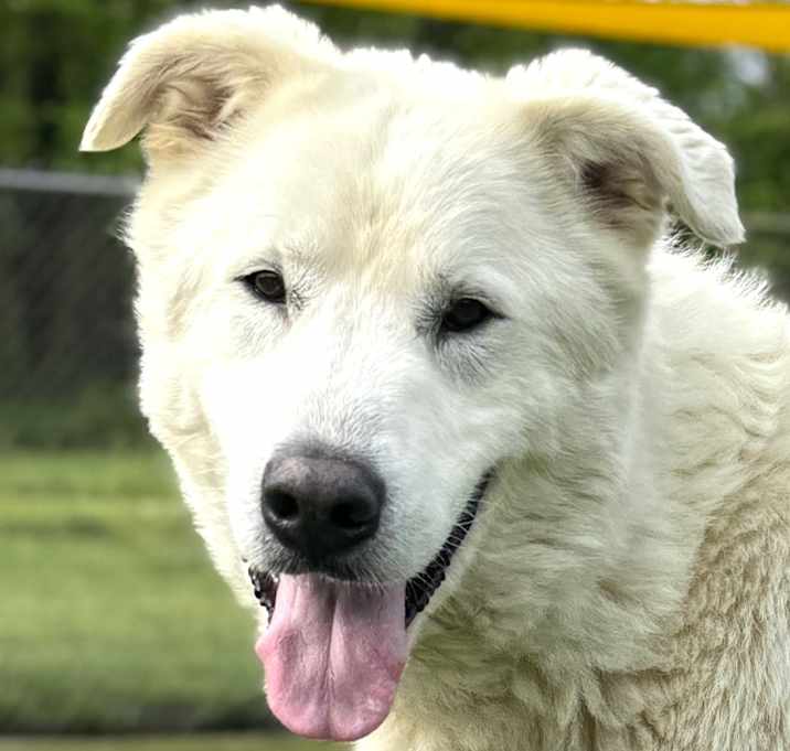 Photo of Charlie