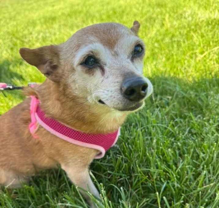 Photo of Edith