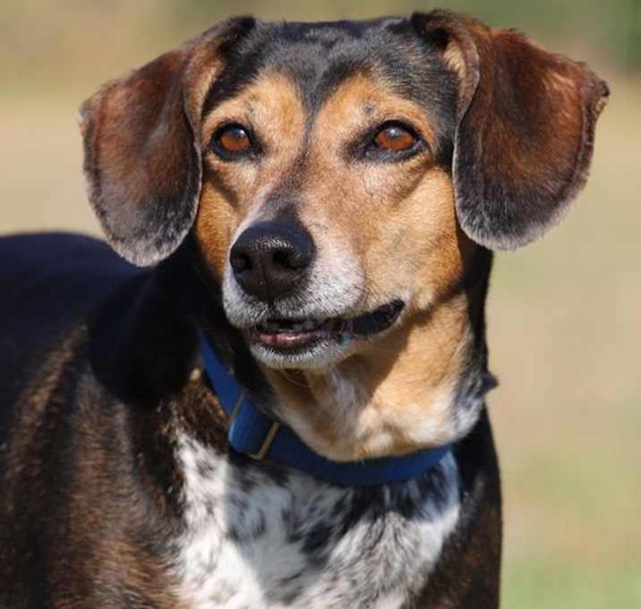 Photo of Lola