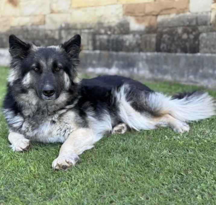 Photo of Carmen