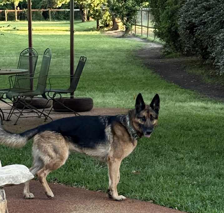 Photo of Major