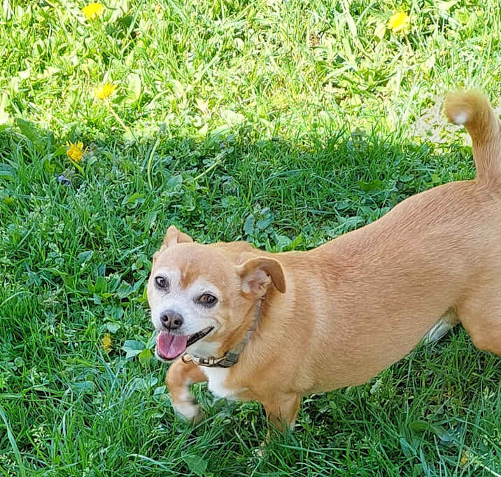 Photo of Zelda