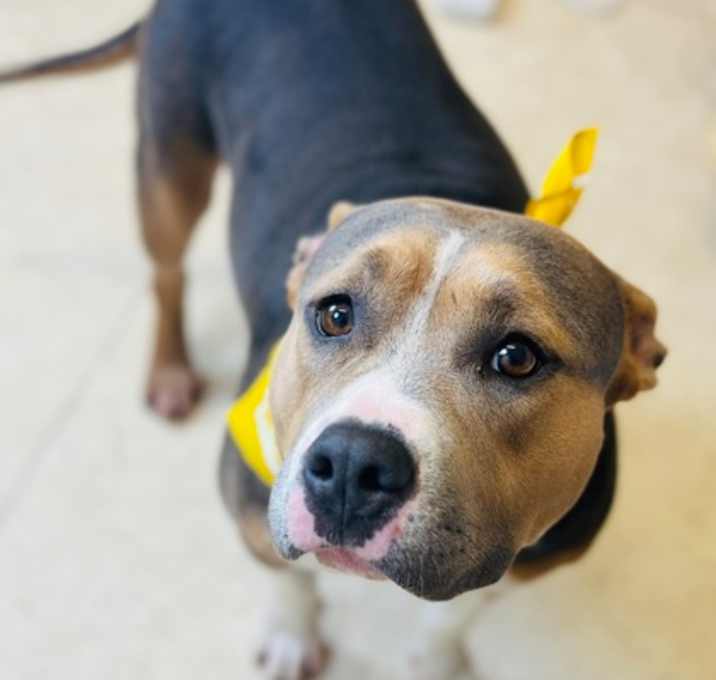 Photo of Mama Meesha