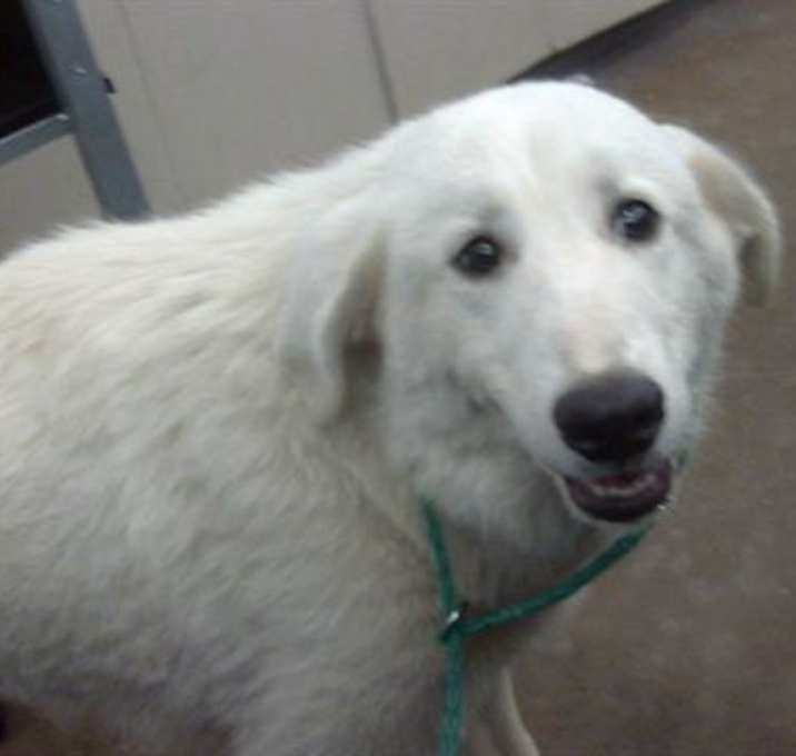 Photo of ANGEL