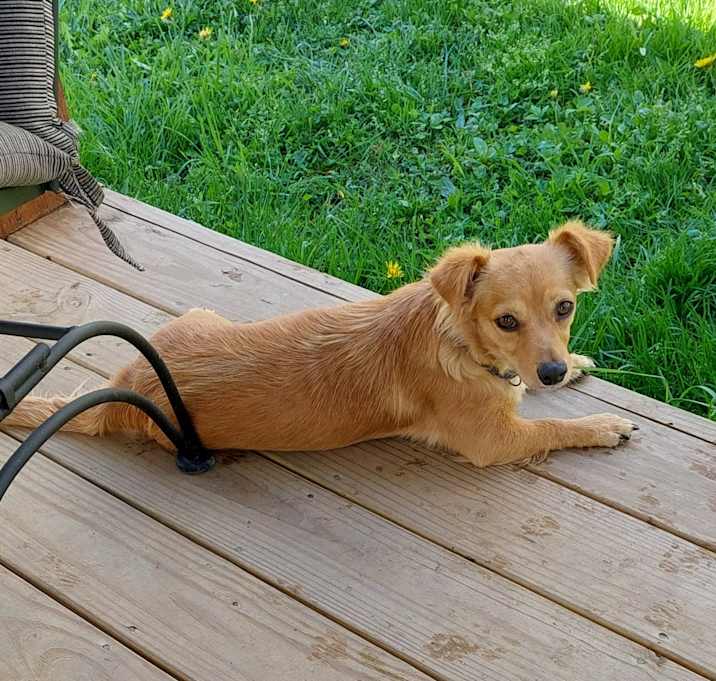 Photo of Whimsy