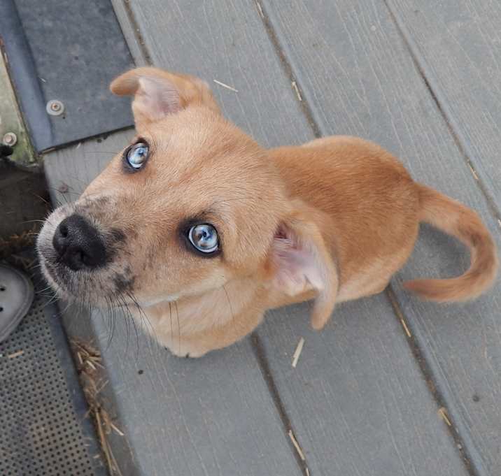 Photo of Lainey
