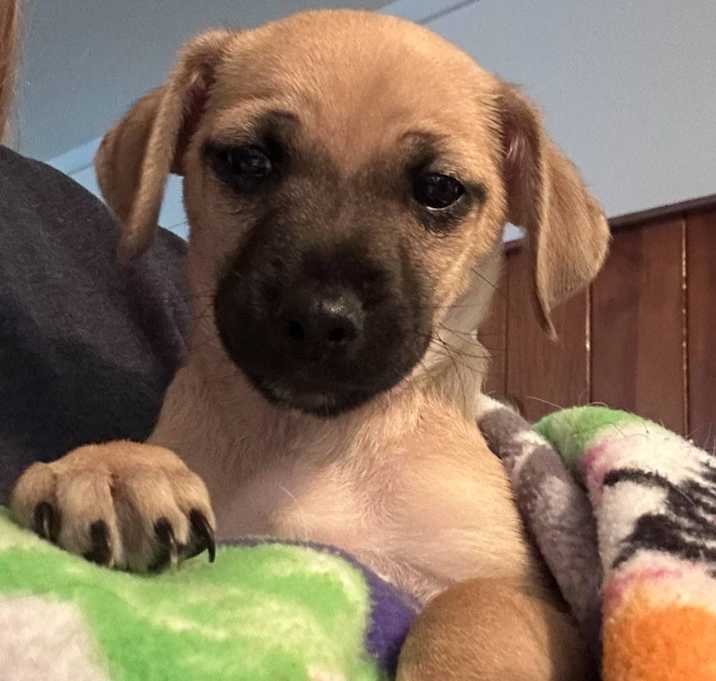 Photo of Tucker