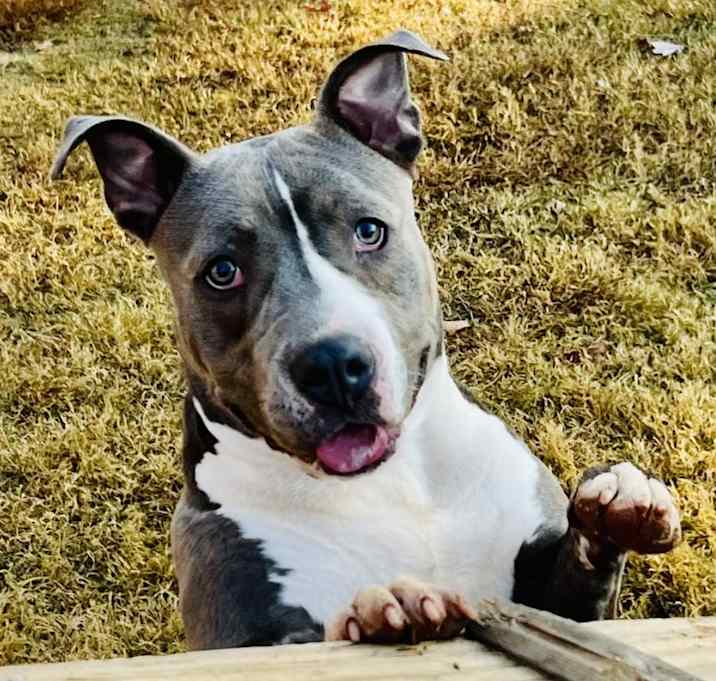 Photo of Jay