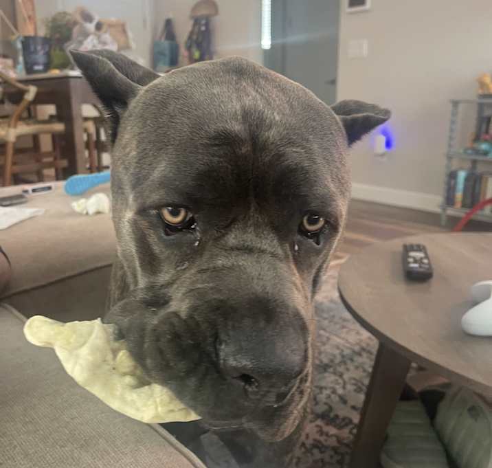 Photo of Hera