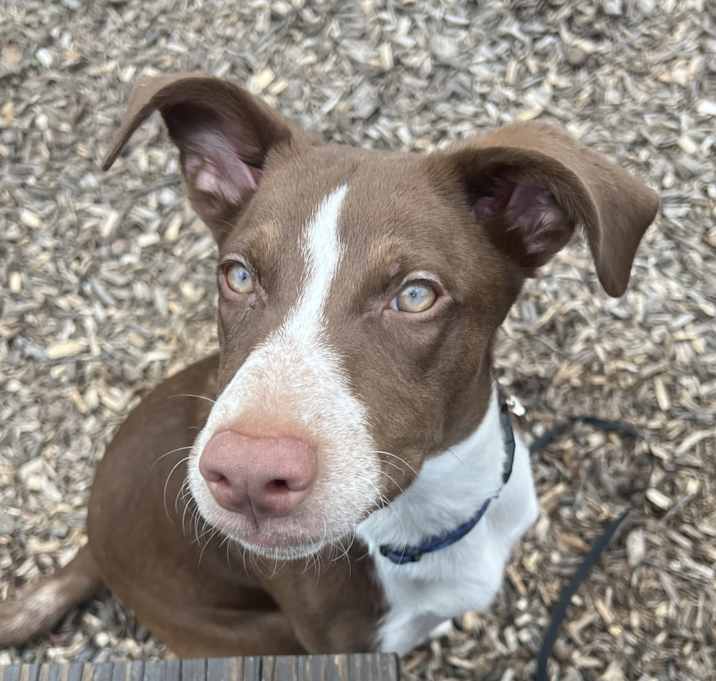 Photo of Leeloo