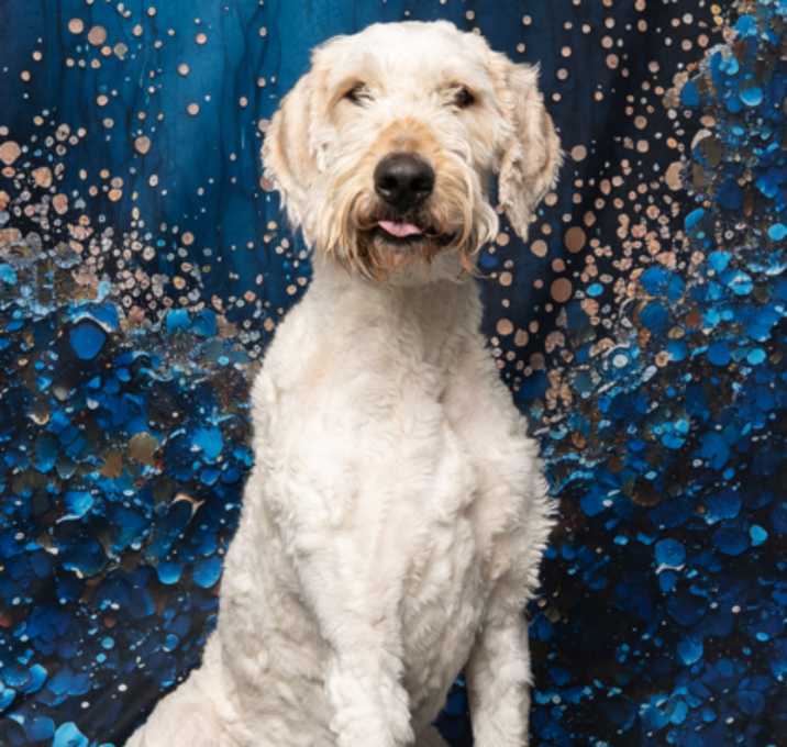 Photo of Butters