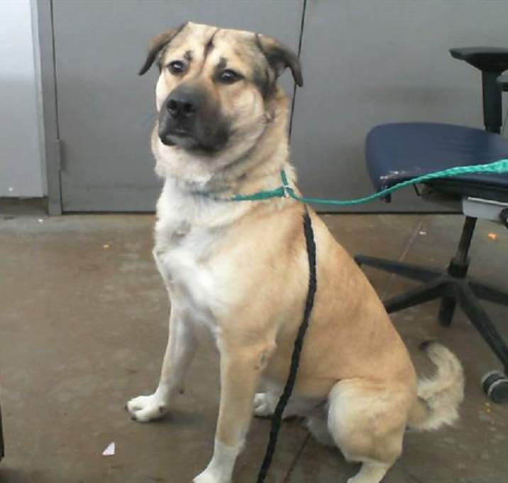 Photo of ZEUS