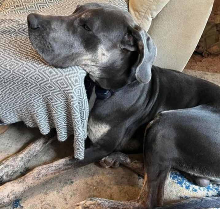 Photo of Odin