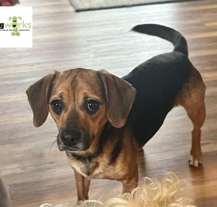 Photo of Wally
