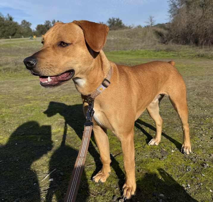 Photo of Doby