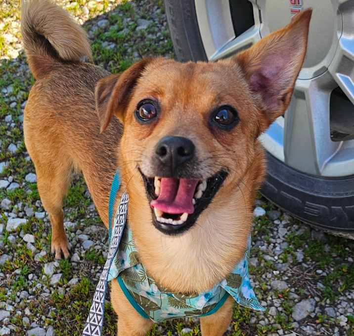 Photo of Max