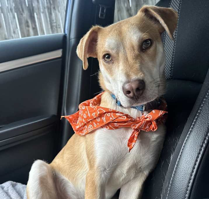 Photo of Charlie