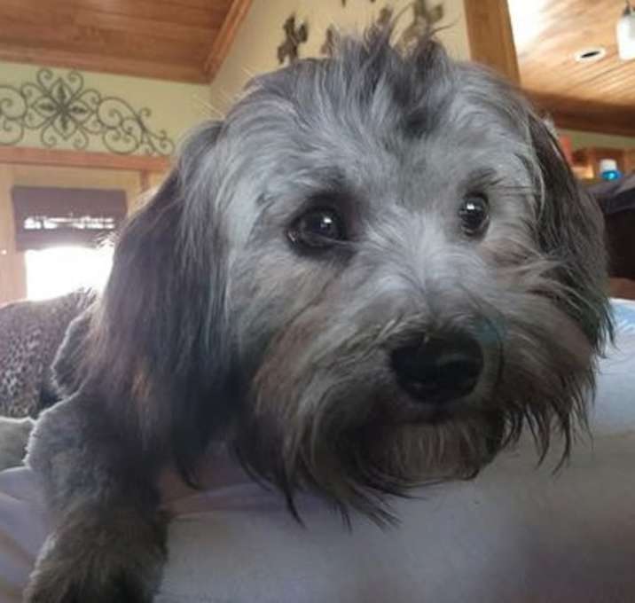 Photo of Gunner