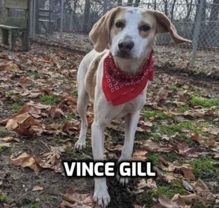 Photo of Vince Gill
