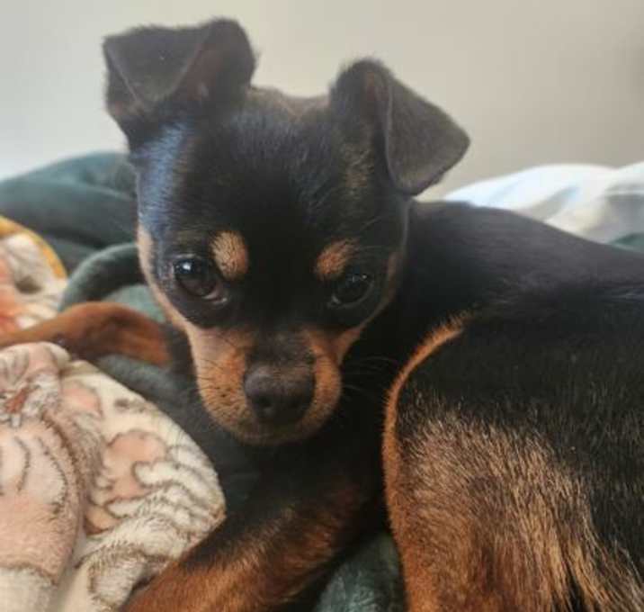 Photo of Georgie