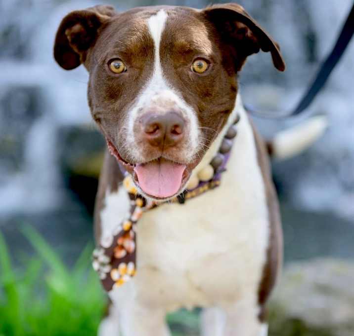 Photo of Odin