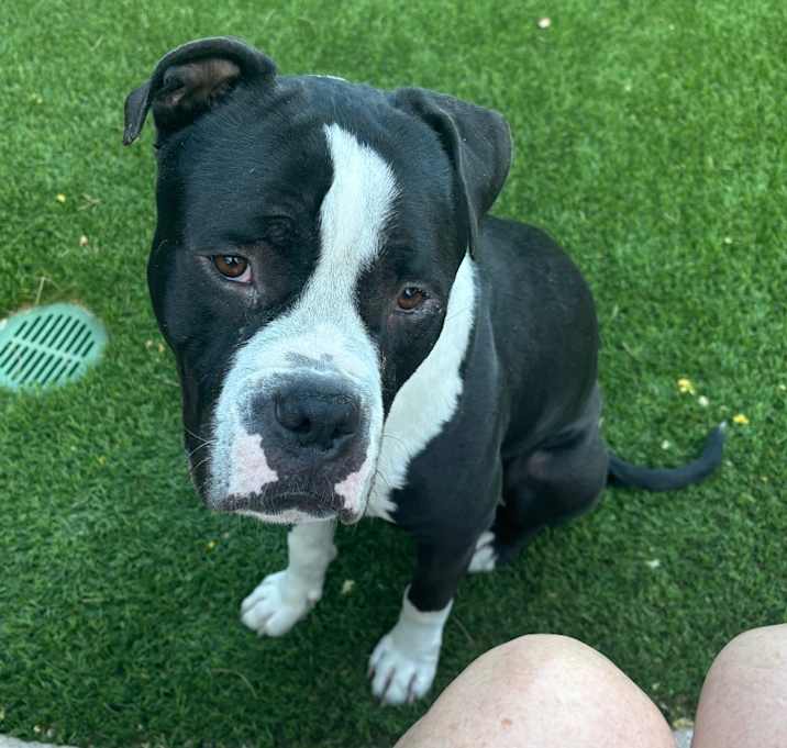 Photo of Thor 