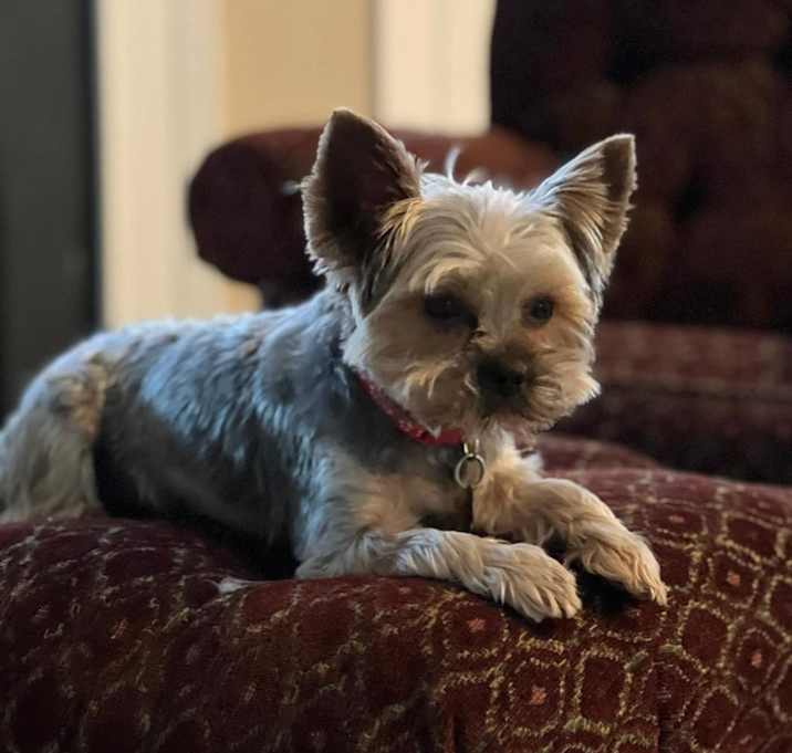 Photo of Brady