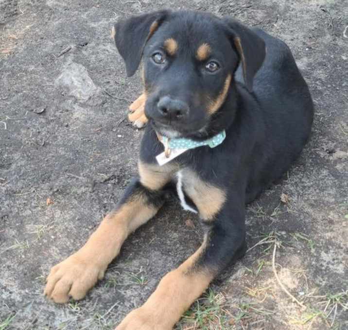 Photo of Cassie