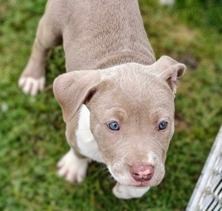 Photo of Gamora