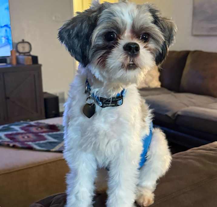 Photo of Walt2