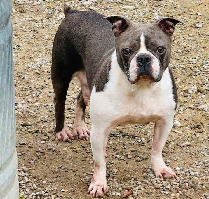 Photo of Lily - 2282