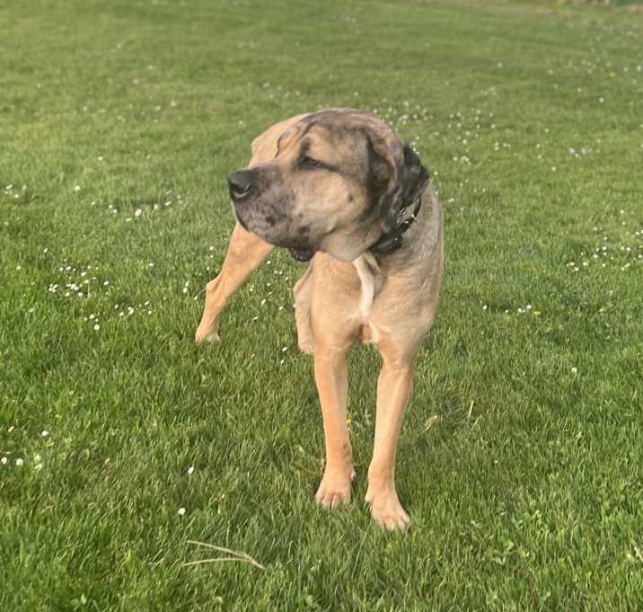 Photo of Duke