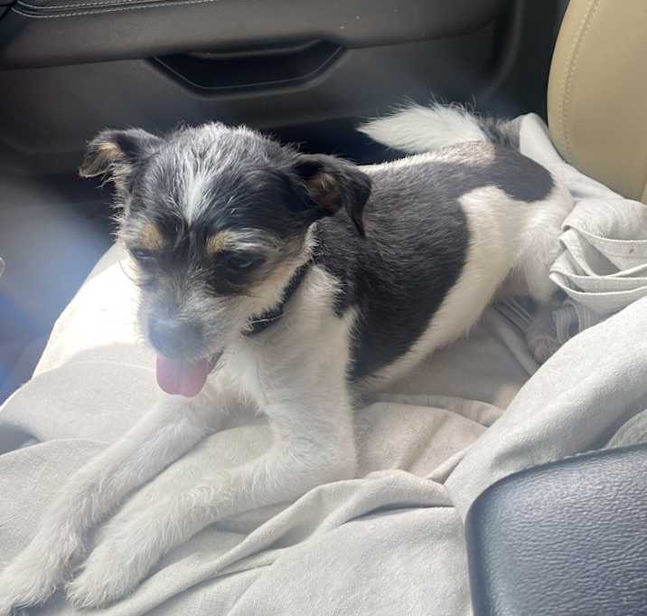 Photo of NIKO