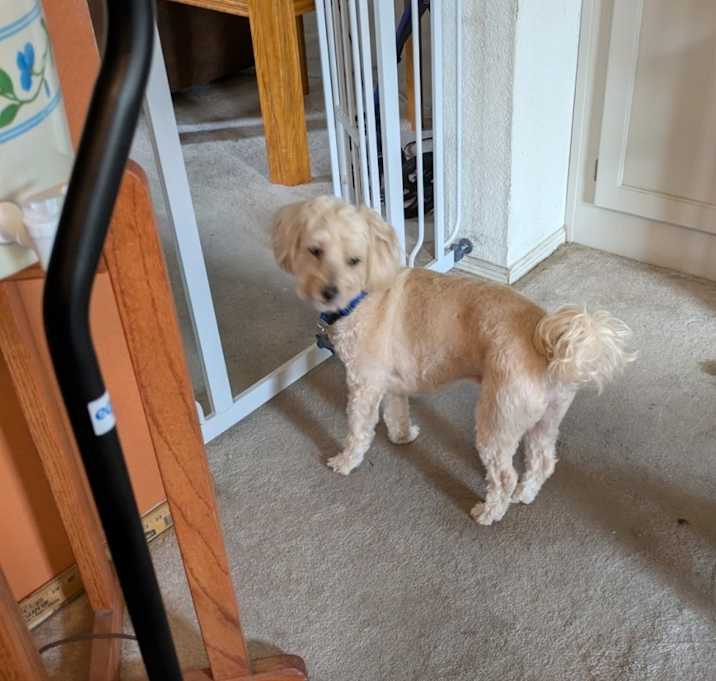 Photo of Vinny