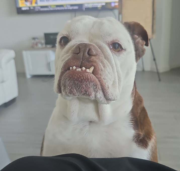 Photo of Khloe