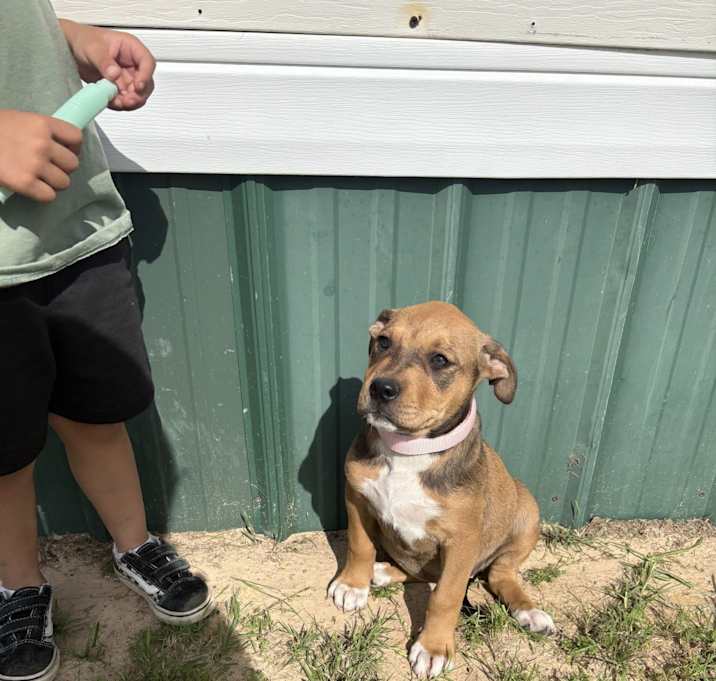 Photo of penny
