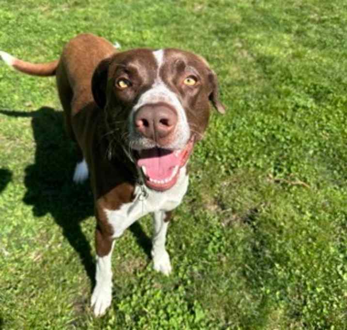 Photo of Remi