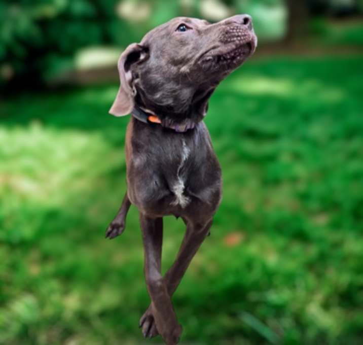 Photo of Ramona