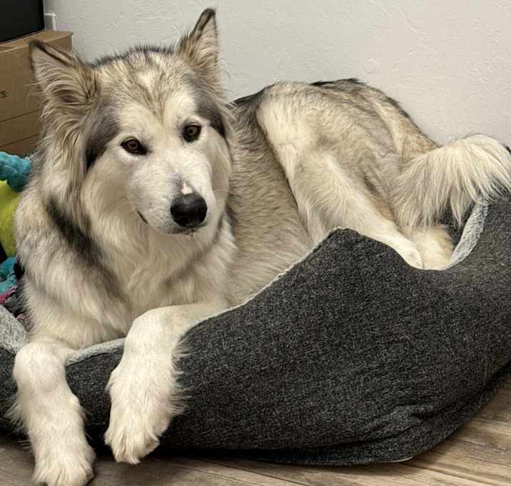 Photo of Zara