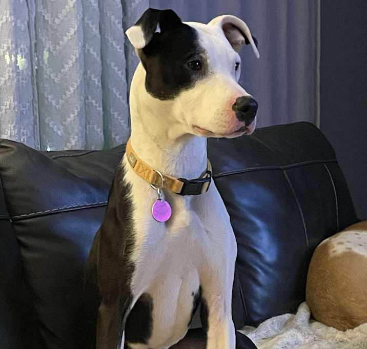 Photo of PEACHES