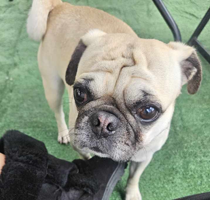 Photo of Jack