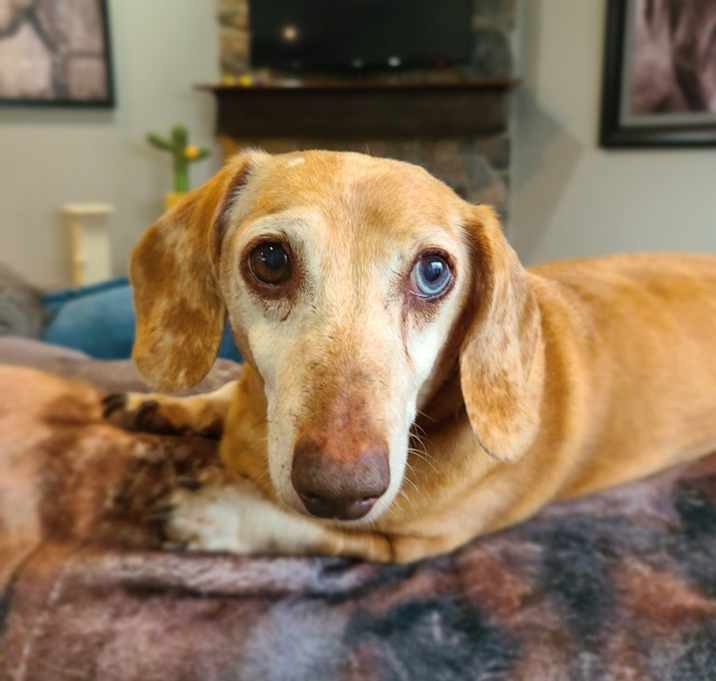 Photo of Charlie