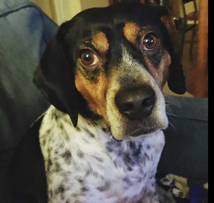 Photo of Buster