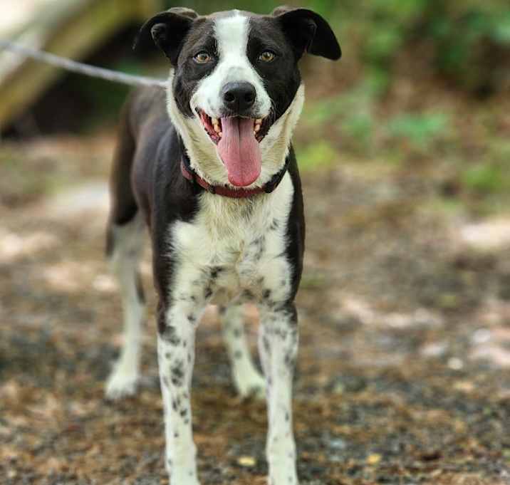Photo of Daisey May