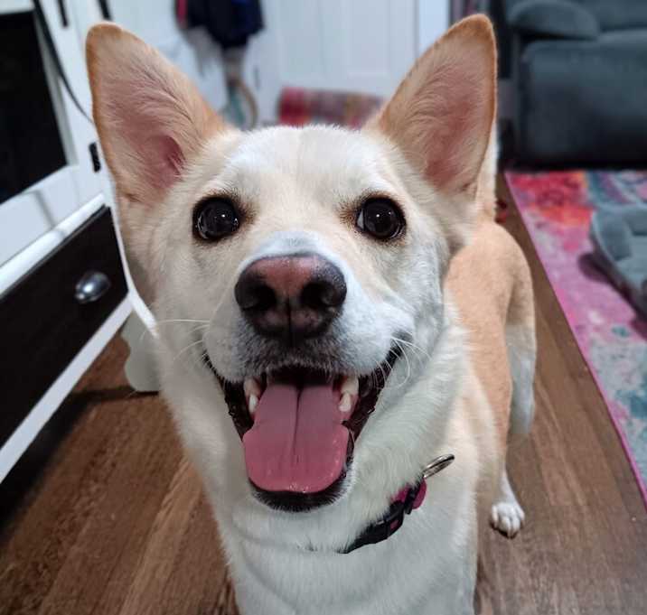 Photo of MANGO