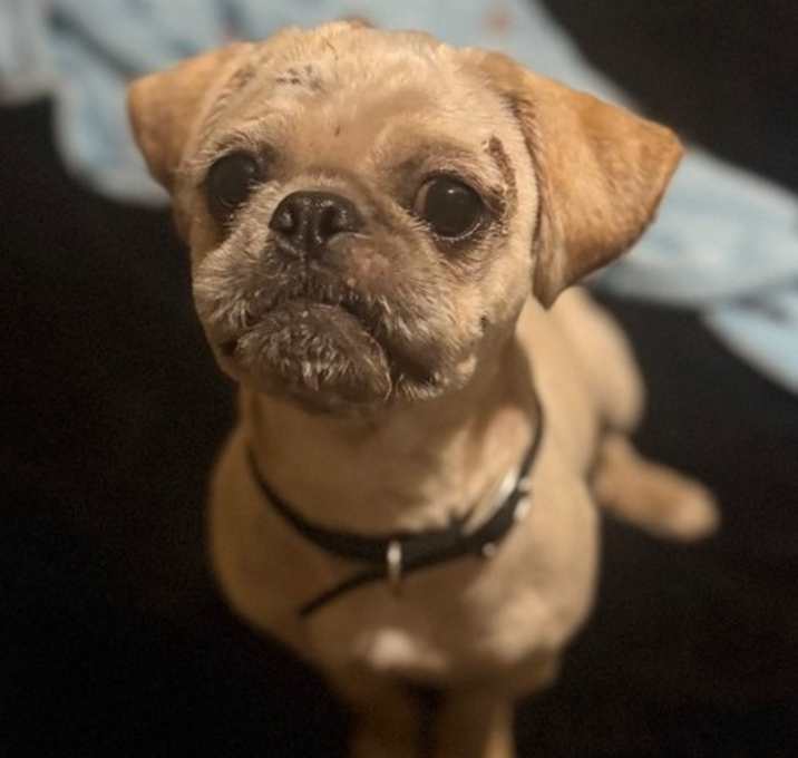 Photo of Dude