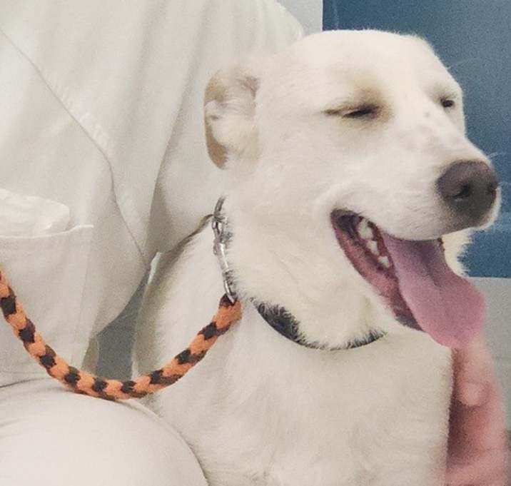Photo of Jethro