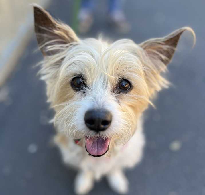 Photo of Fannie